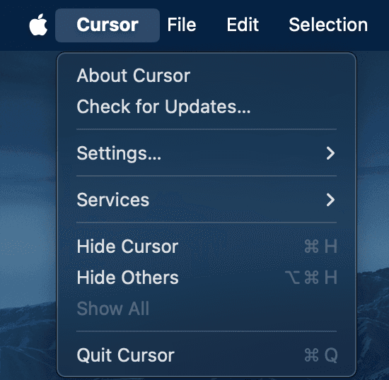 Cursor Update Settings